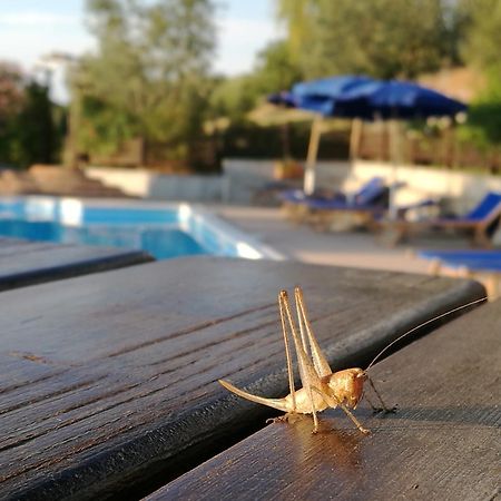 Agriturismo Cornieto Monteleone d'Orvieto Bagian luar foto