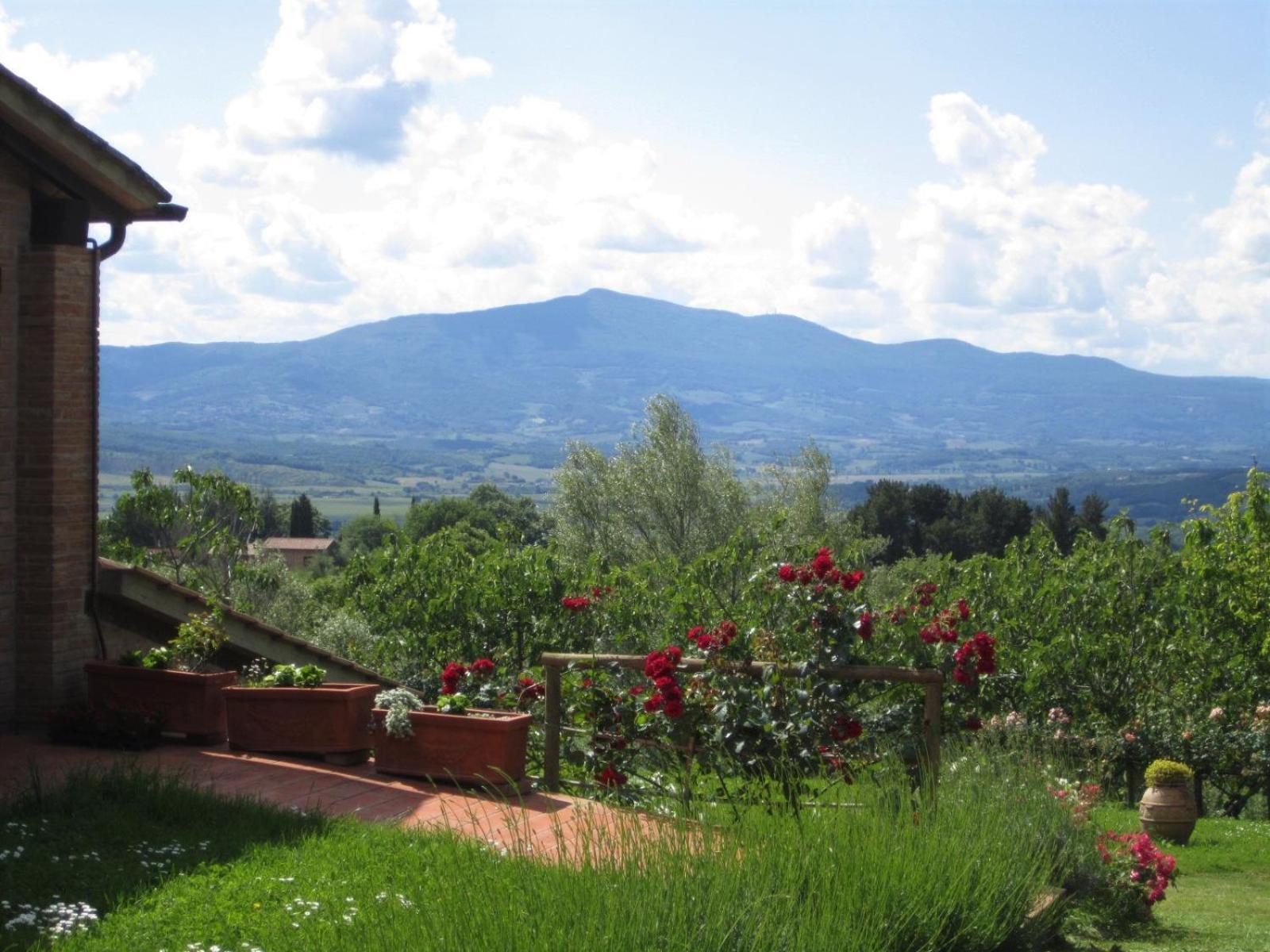 Agriturismo Cornieto Monteleone d'Orvieto Bagian luar foto