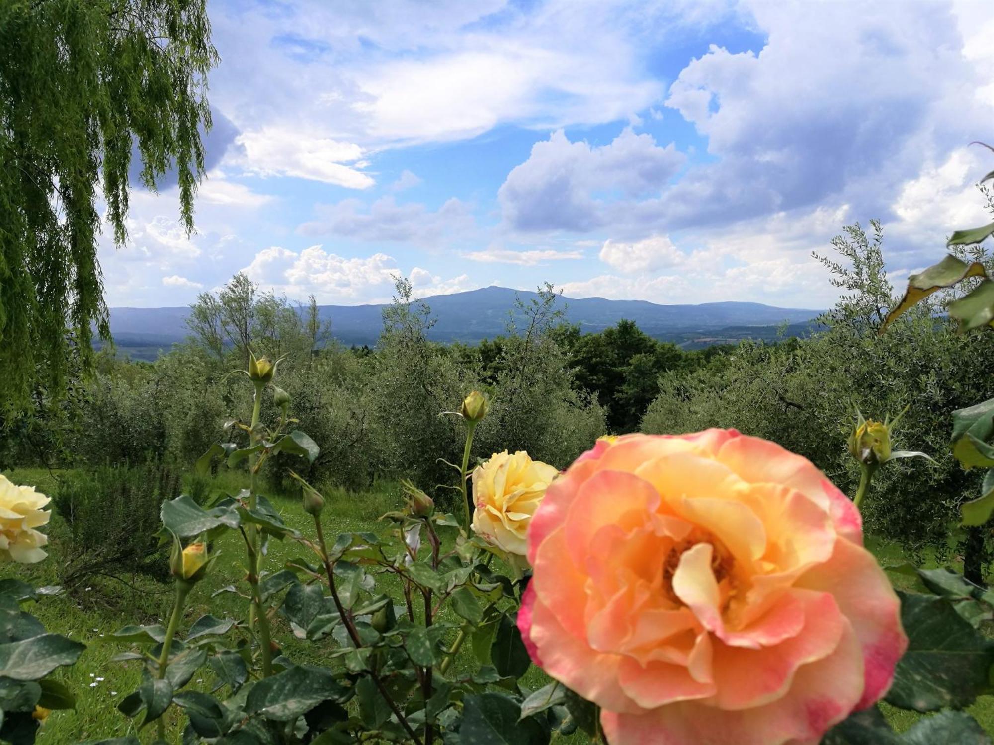Agriturismo Cornieto Monteleone d'Orvieto Bagian luar foto