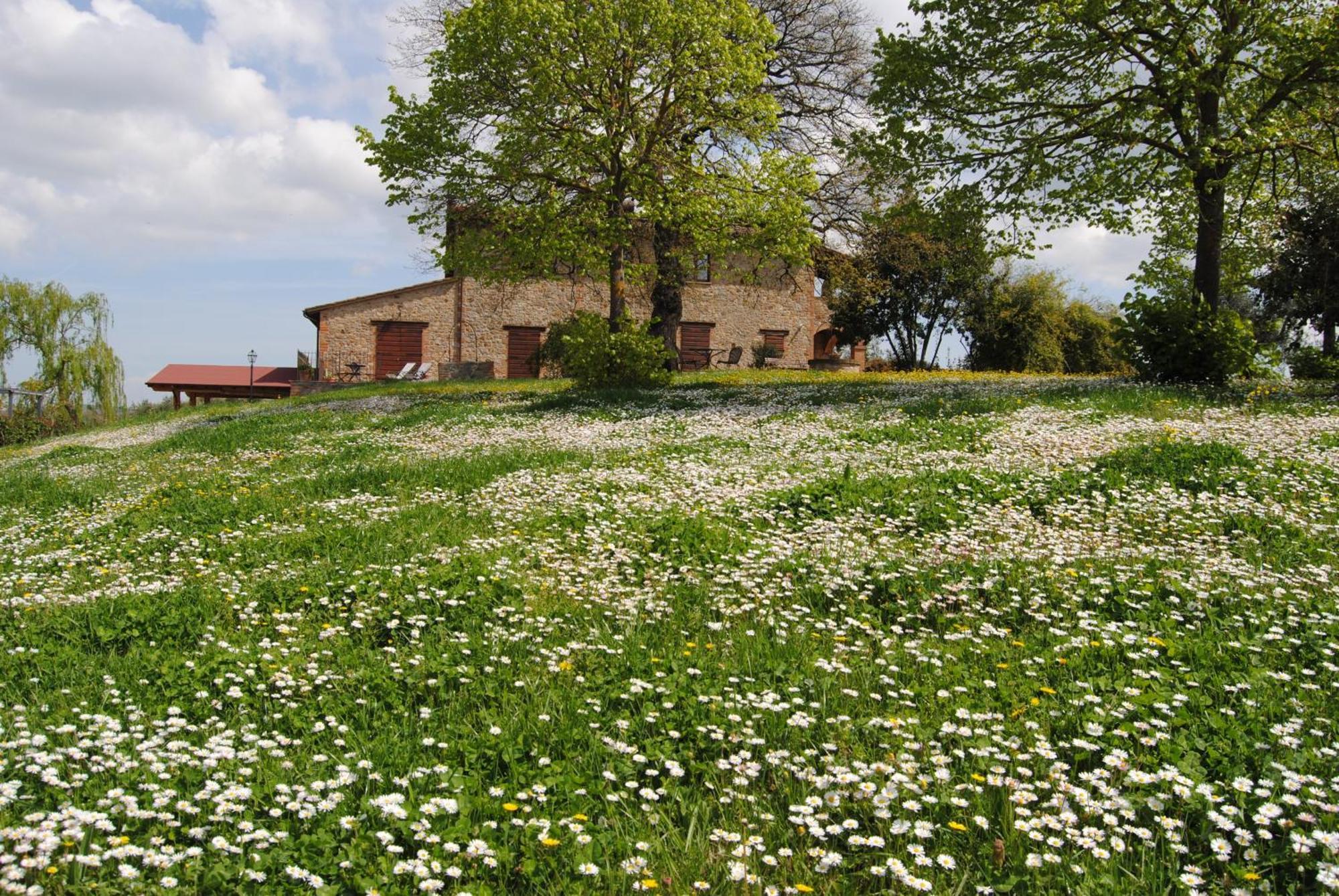 Agriturismo Cornieto Monteleone d'Orvieto Bagian luar foto