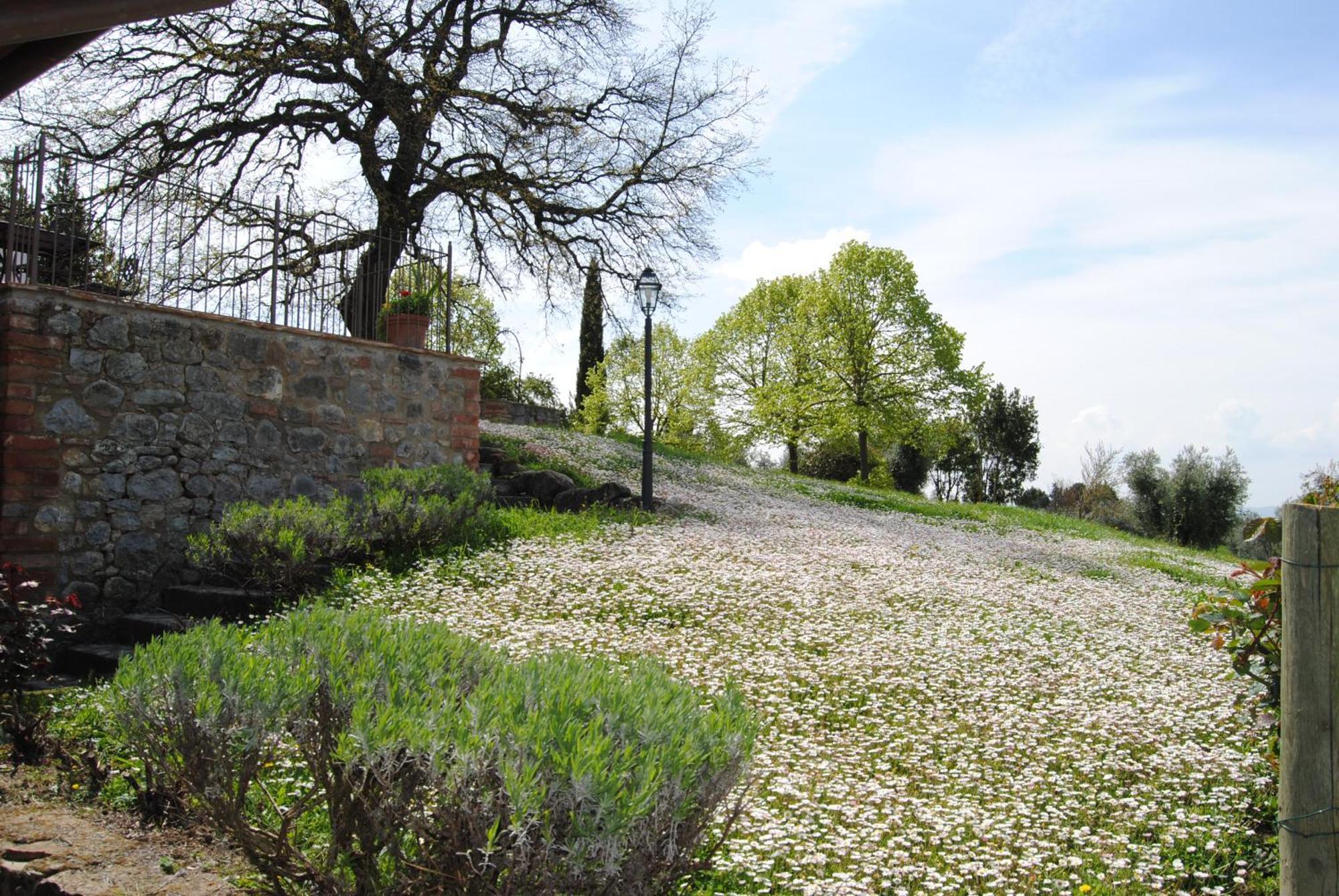 Agriturismo Cornieto Monteleone d'Orvieto Bagian luar foto