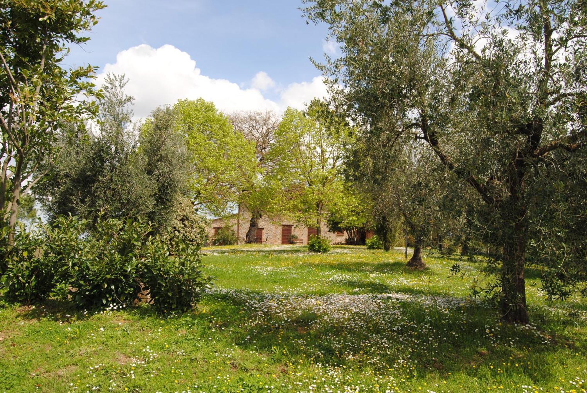 Agriturismo Cornieto Monteleone d'Orvieto Bagian luar foto