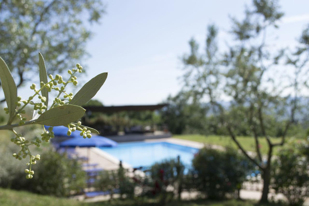 Agriturismo Cornieto Monteleone d'Orvieto Bagian luar foto
